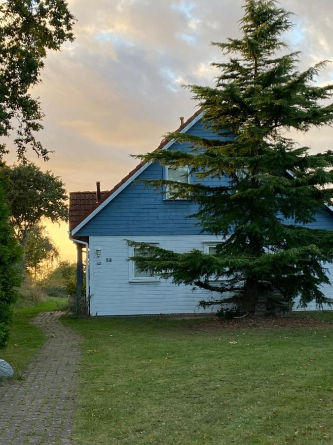 Freistehendes Einfamilienhaus Mit Boddenblick Naehe Ostsee Fuhlendorf  Eksteriør bilde