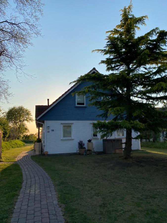 Freistehendes Einfamilienhaus Mit Boddenblick Naehe Ostsee Fuhlendorf  Eksteriør bilde